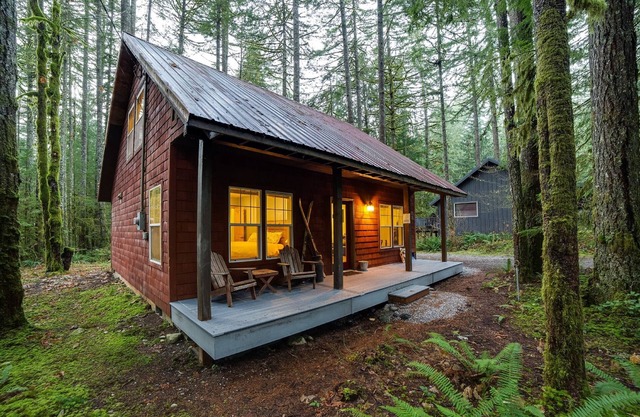 Glacier Springs Cabin 12 - Pet Friendly, WIFI, AC, Sleeps 4