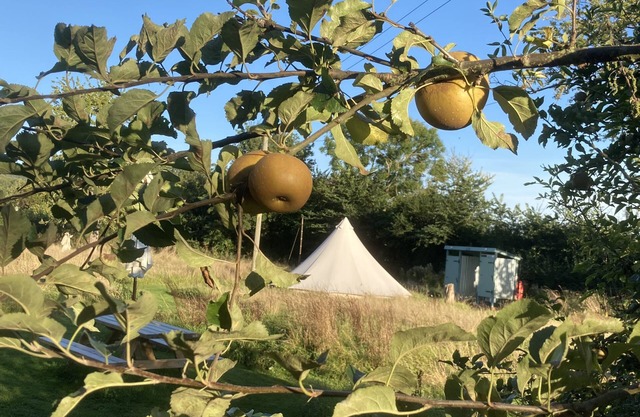 Glamping at The Homestead - Ensuite bell tent