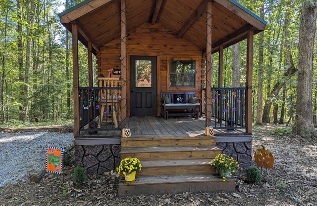 Glamping at Tiny House!nPerfect Romantic Cabin Getaway on Horse Farm