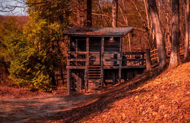 Glamping Cabin | Huge Window | Nature Lovers Dream