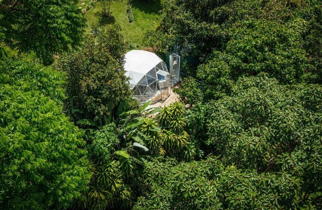 Glamping Luxury Domo - Tierra Nueva Glamping