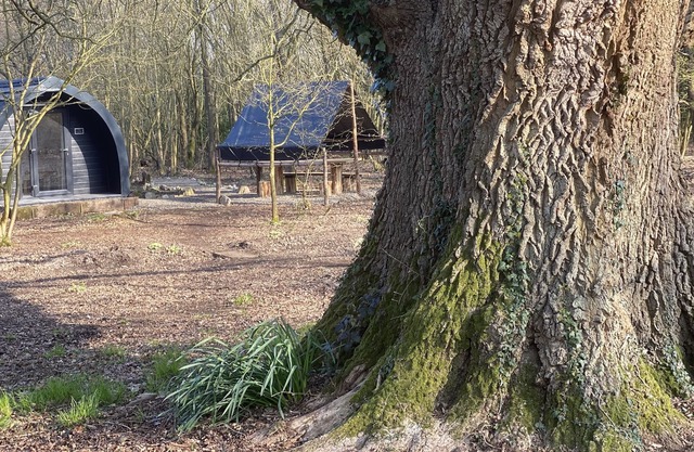 Glamping pod nestled deep within the South Downs National Park.