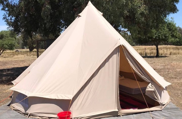 Glamping Tent in a farm with lots of pets