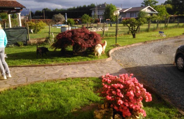 Gli Angeli B&B