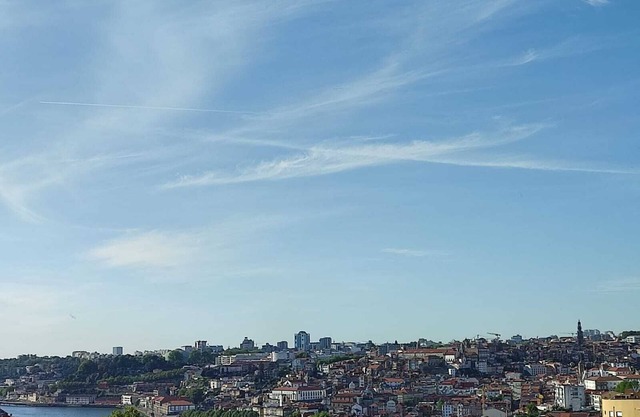 Golden Oak Porto - Cosy flat with breathtaking views, 10min to Porto City Centre