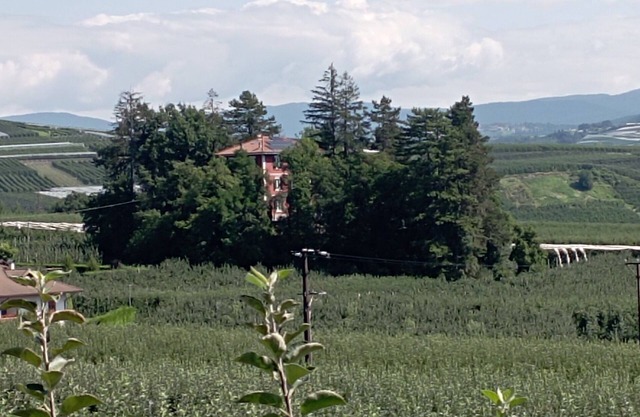 Gorgeous apartment in villa with private forest - Brenta Dolomites Park