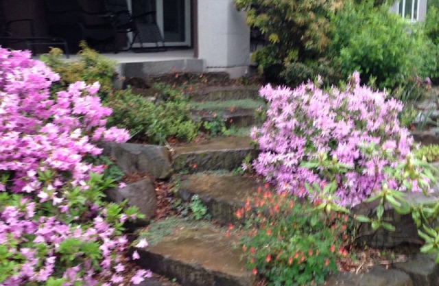 Gorgeous Estate Offers 2 Bedroom Apartment.