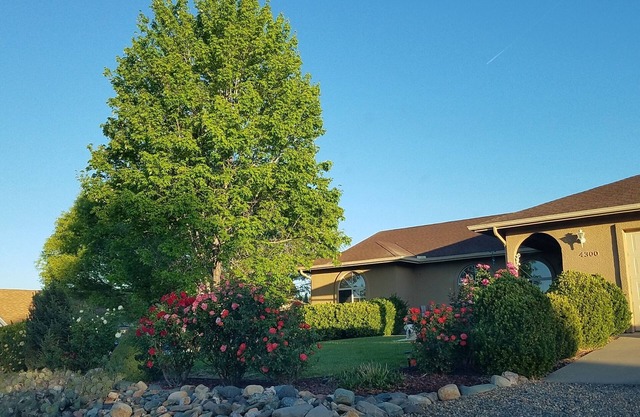 Gorgeous home with lots of space. Beautifully landscaped back yard.