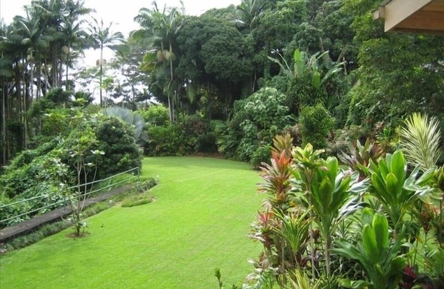 Gorgeous studio apartment on the Hamakua Coast 6 minutes to downtown Hilo. 99/nt