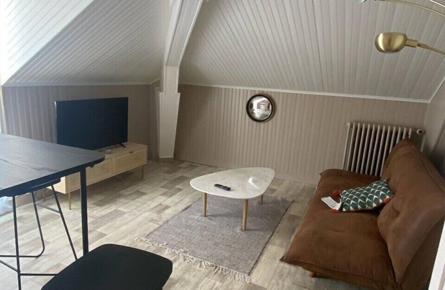 Grand appartement T2 samois