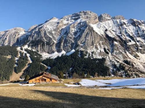 Grand Chalet - Coeur de la montagne