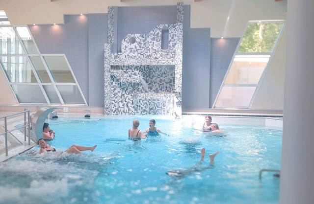 Grand Hôtel de Bourbon-Lancy - Logis - Restaurant et Spa