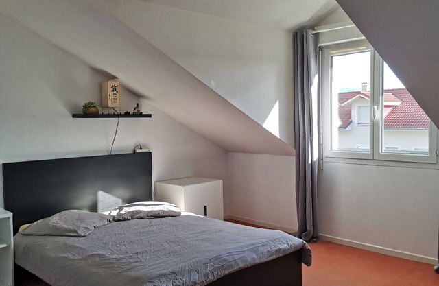 Grande et Spacieuse Maison Pour 4 à 6 Personnes. Proche Cern et Genève
