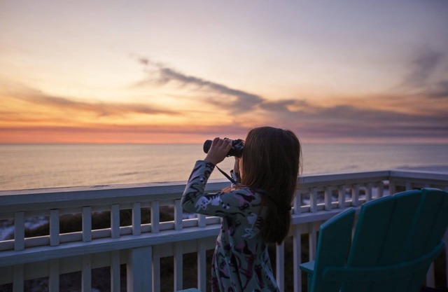 Great Escape ~ Oceanfront | Private Boardwalk| Dog