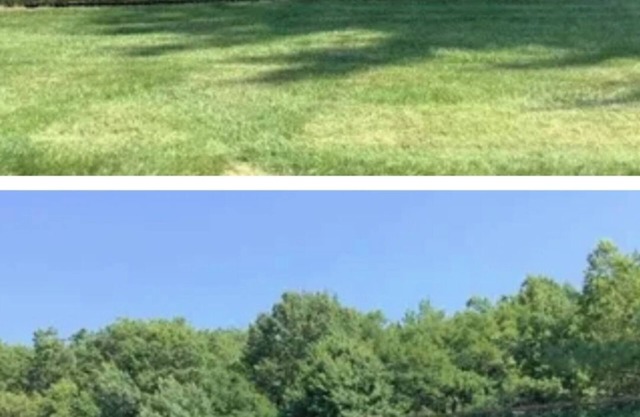 Great location, local to New York. Everything is around here. You will love this
