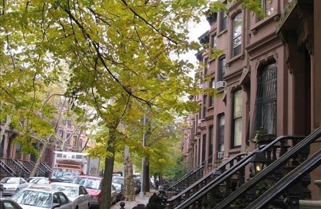 Great Place to Stay in Park Slope