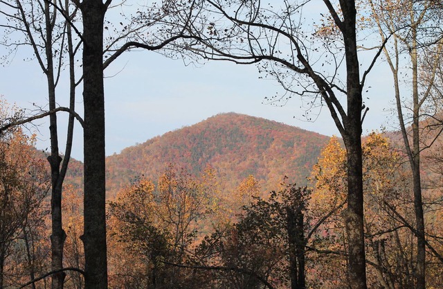 Great Vacation Home In Ellijay