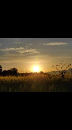 Green farm Camping