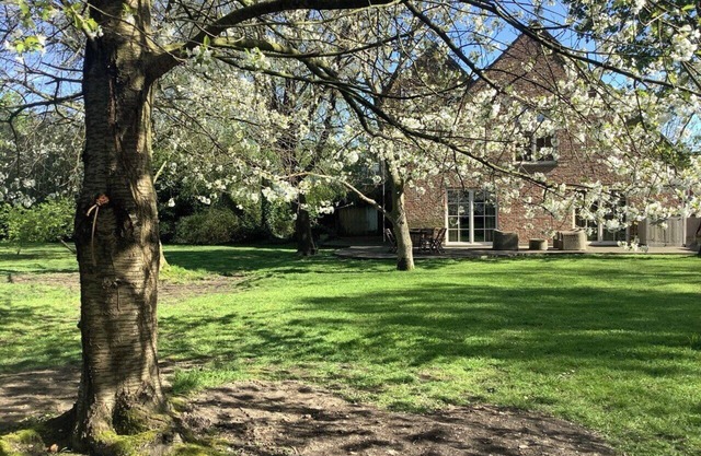 Green oasis in the city, between Antwerp/Brussels, 10 min from Azelhof Horse Ev.