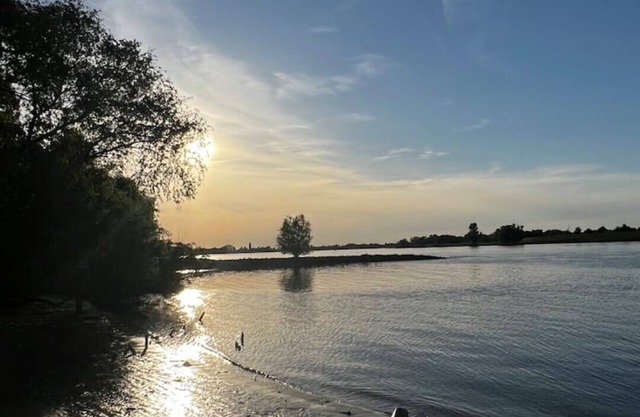 Großzügiges, Helles Studio Direkt an der Elbe