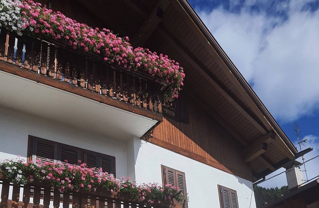 Ground floor apartment