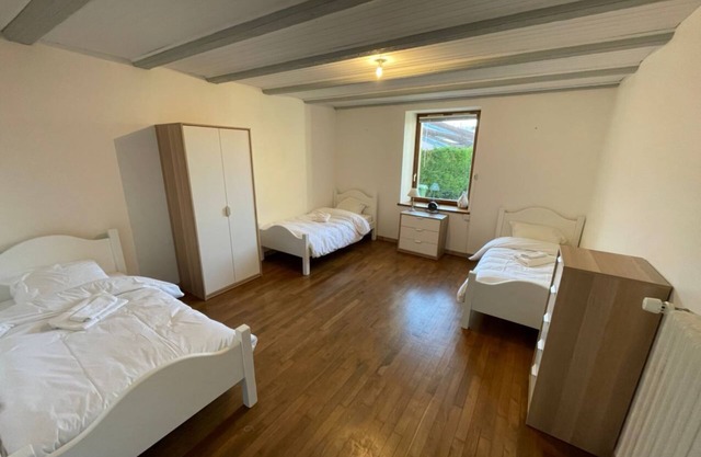 Ground floor apartment with large courtyard and private access 5 min from Nancy
