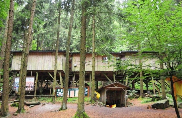 Gruppenbaumhaus - Baumhotel