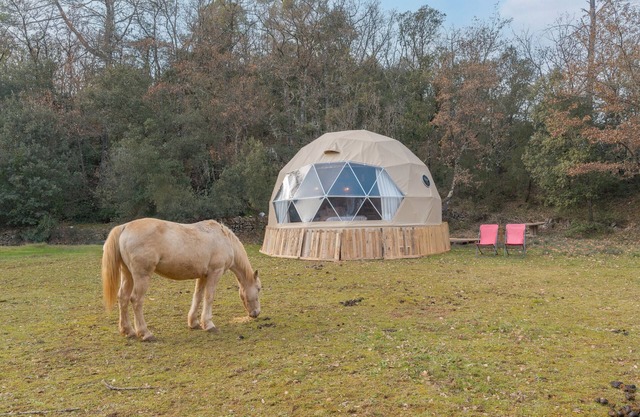 Guest House 'La Cabane Aux Chevaux' with Private Garden
