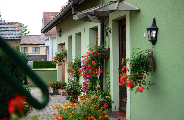 Guewenheim Haut-Rhin cottage for 4 people