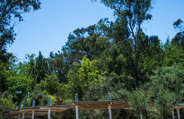 Hacienda Histórica Marchigüe