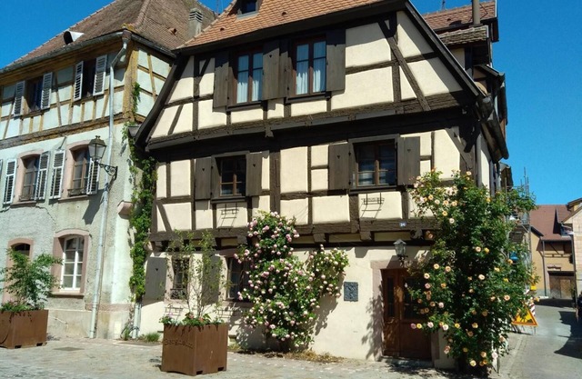 Half-timbered house of the 17th Century in the center of Bergheim, in the heart of the