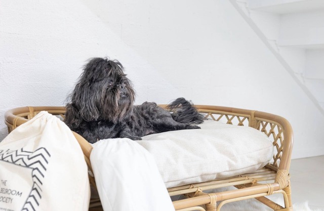 Hanks Corlette House, 49 Pantowora St - pet friendly, air con, boat parking, Wi-Fi