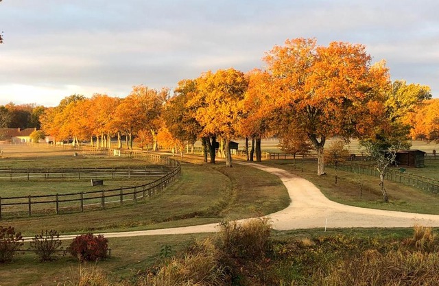 haras du Vignault Le Bûcher