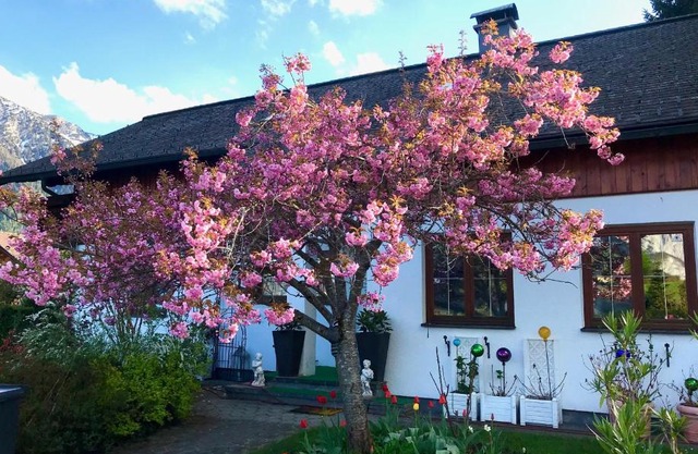 Haus Belli