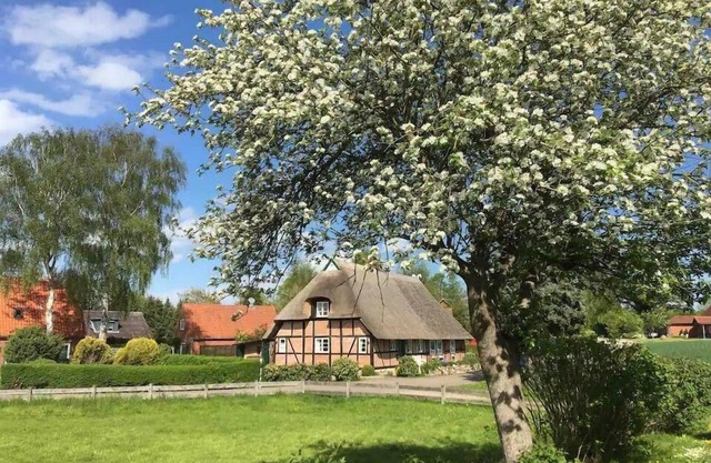 Haus Ruhe unter Reet