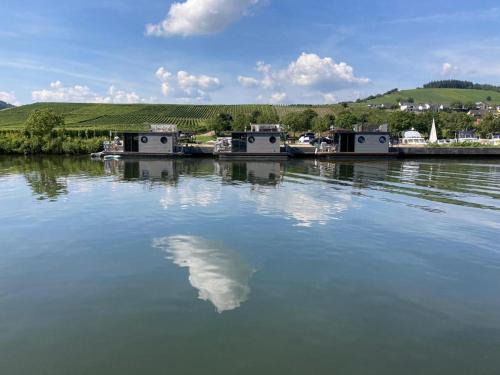 Hausboot Moselrose in Pölich