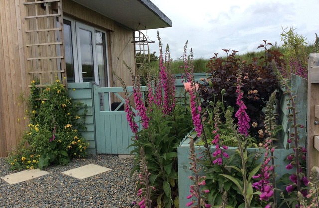 Hedgerow Hut - the perfect Tiny House