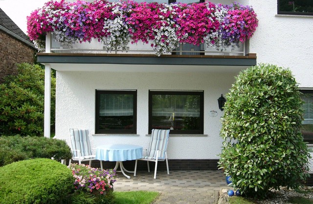 High-quality first floor vacation apartment * in Senhals near Cochem-Mosel