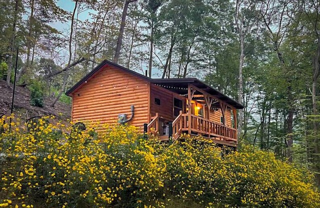 Hill Haven RRG/Small & Secluded Cabin/Hot Tub