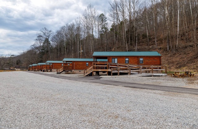 Hillbilly Rockin' Rt 3 Cabins - Ivy Branch Trailhead