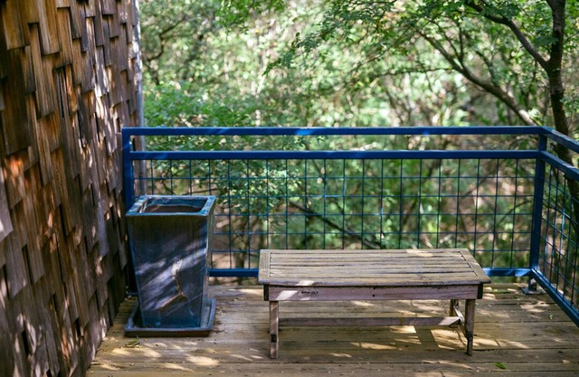 Hillcountry Views so close to Downtown! Austin Craftsman Style