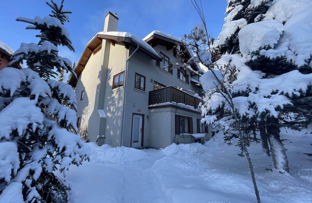 Hillside 3 Level Ski In & Out 3 Bedroom, 3 Bath w/Hot Tub & BBQ! License #1031