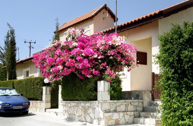 Hilltop Chalet
