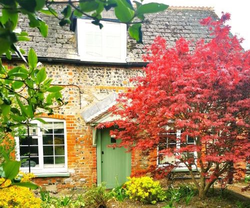 Historic, traditional & Spacious Wiltshire Cottage