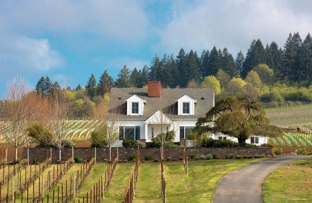 Historic Vineyard Escape-3 bedroom, 2 bathrooms, with patio and vintage charm.