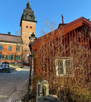 Historical idyll from the 17th century