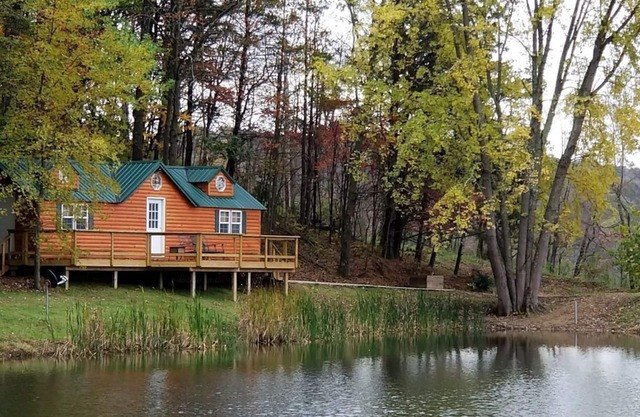 Hocking Hills-Dog friendly cabin with private pond . adults 18 and older