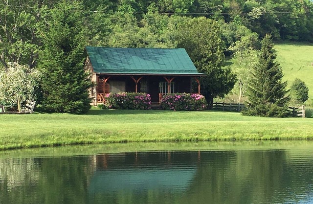 Hog Mt Retreat - a cozy oasis, by Buffalo Mountain Getaway