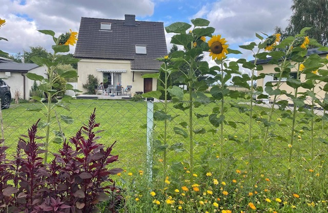 Holiday apartment Kamien Pomorski for 1 - 6 persons with 3 bedrooms - Holiday apartment