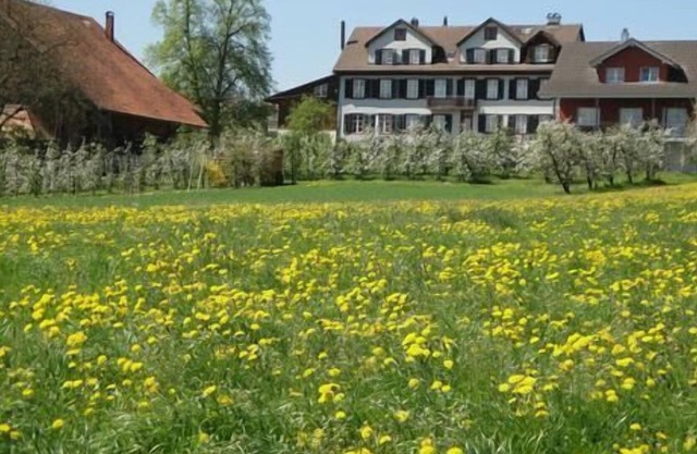 Holiday apartment Kümmertshausen for 4 - 8 persons with 3 bedrooms - Holiday apartment in a farmhous